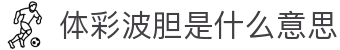 波胆即赔怎么看？欧赔凯利变化查询与比分参考入口